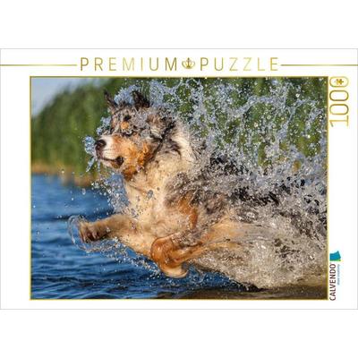 CALVENDO Puzzle Spaß in der Elbe | 1000 Teile Lege-Größe 64x48cm Foto-Puzzle für glückliche Stunden