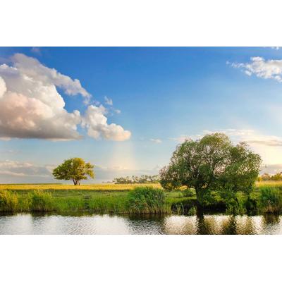 Papermoon "Fluss bei Feldern"