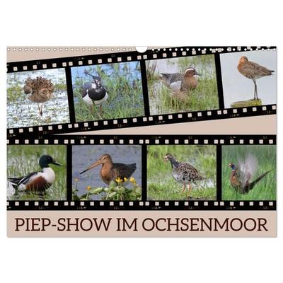 PIEP-SHOW im Ochsenmoor (Wandkalender 2026 DIN A3 quer), CALVENDO Monatskalender
