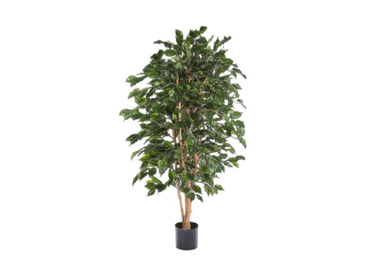 Lebensechte Kunstpflanze „Ficus Exotica Bush“, verschiedene Grössen Grün Baq Design