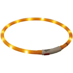4x Trixie Flash Leuchtring USB (L, M, S, XL, XS, Hund, Hundesport), Halsband + Leine