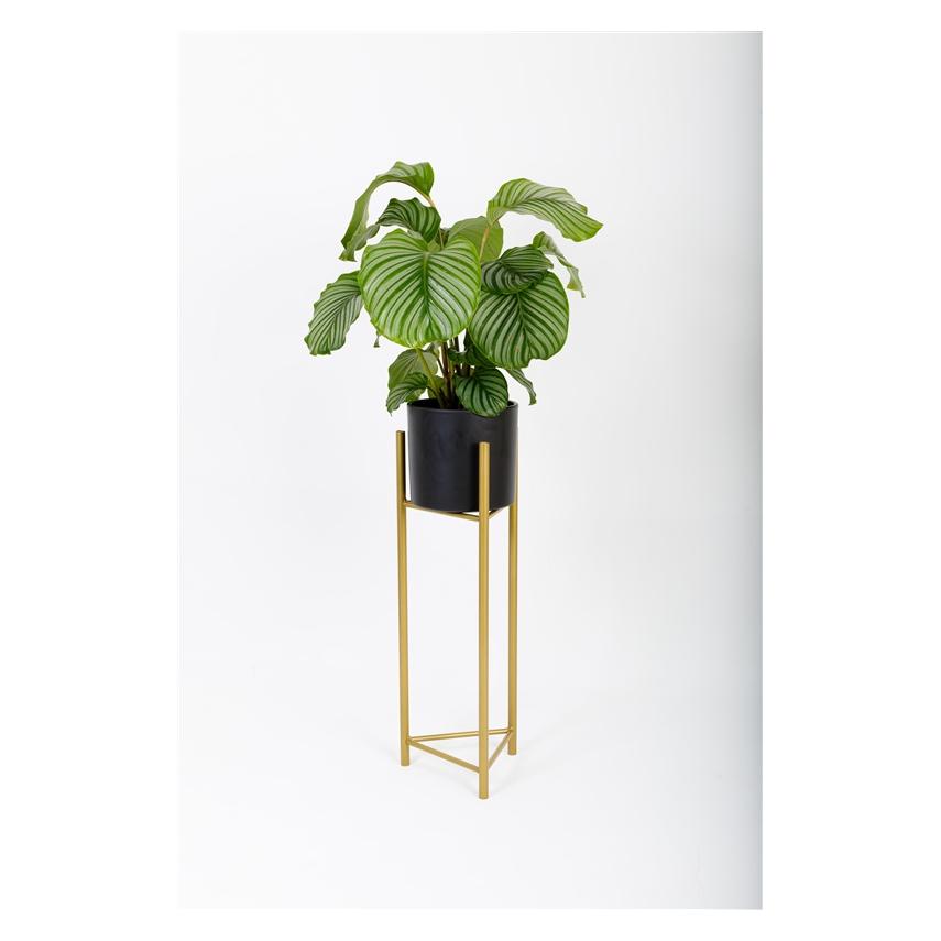 Garden Center Stand For Flower Pots Sens L Gold 27x75 (37770143)