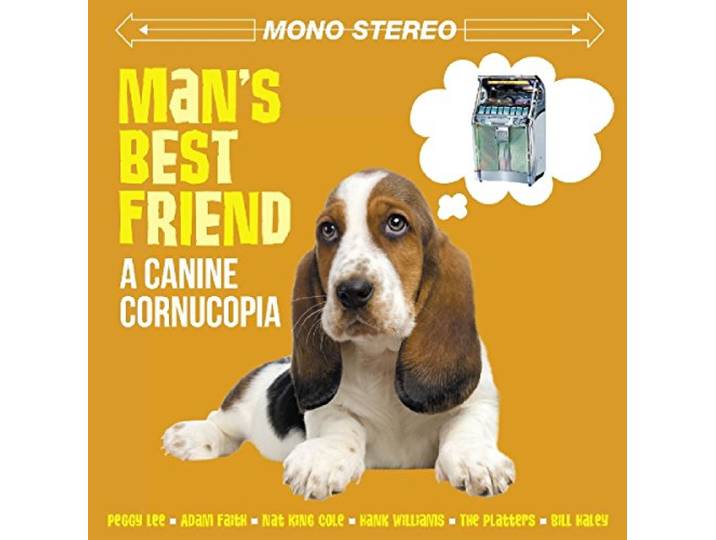 Man's Best Friend