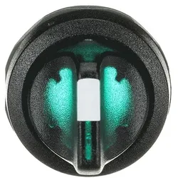 ABB M2SS1-11G Leuchtwahlschalter B-C, grün, 2 Stellungen, kurzer Drehgriff rastend, Frontring Kunststoff schwarz, beleuchtbar 1SFA611200R1102