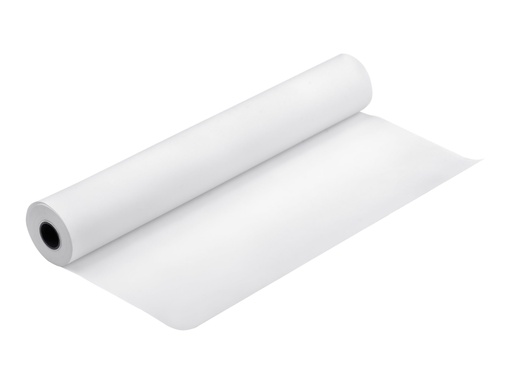 Epson Doubleweight Matte Paper - Matt - Rolle (111,8 cm x 25 m) (C13S041387)