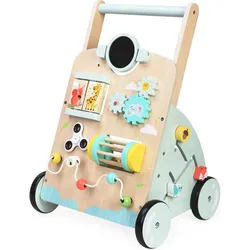 Bayer Activity-Walker