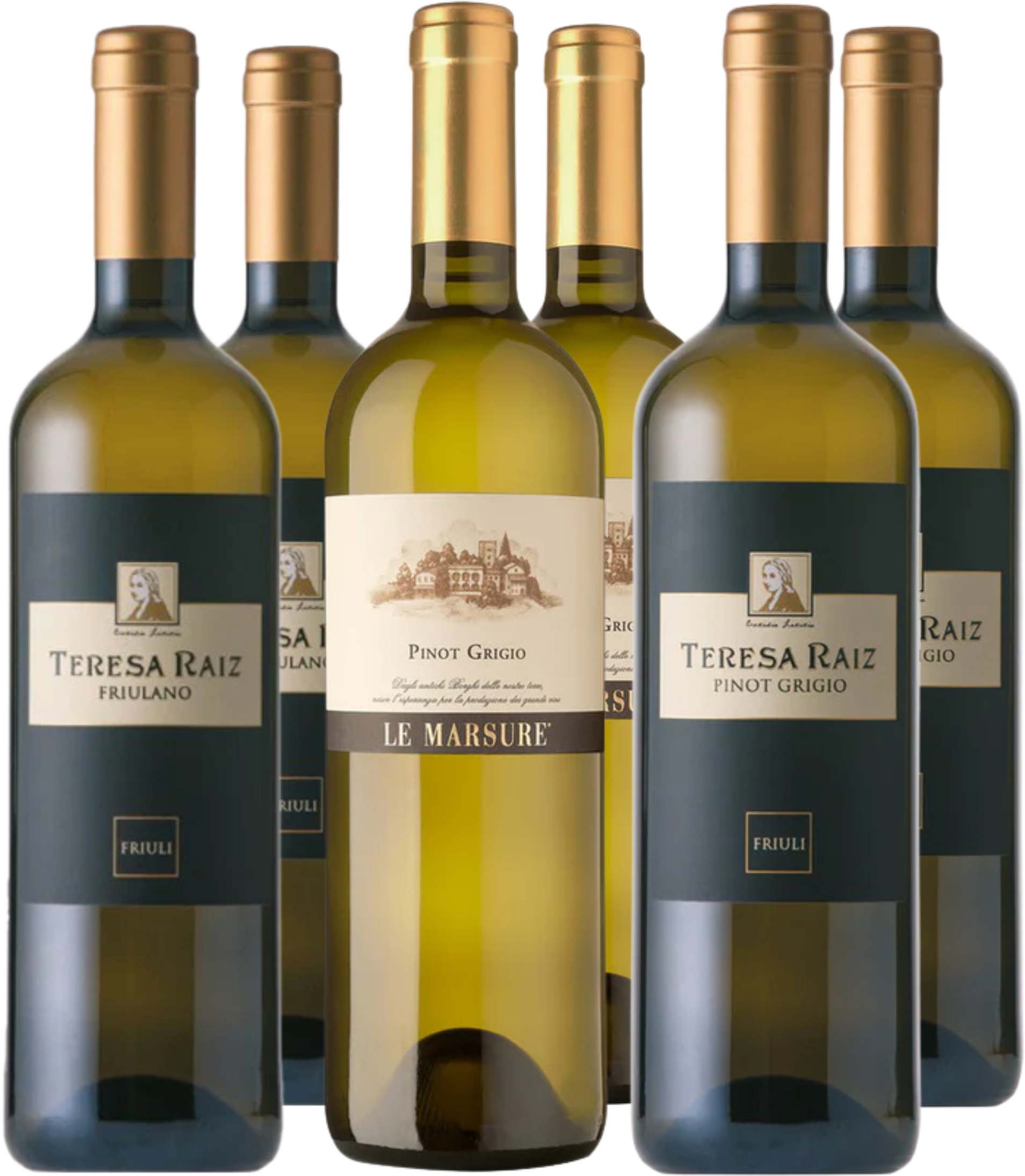 Raiz Teresa Entdeckerpaket Teresa Raiz 3x4 Fl.