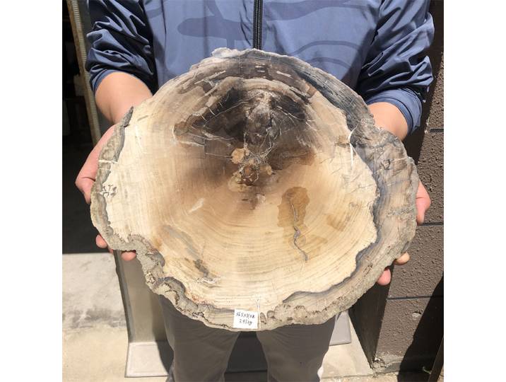 Spécimen de bois périfié naturel, 3.93kg, tranches de pierres semi-précieuses, cristaux, pierres de guérison