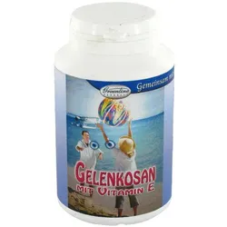 Gelenkosan+vitamin E Tabletten 90 ST
