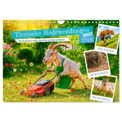 Tierische Redewendungen - Ein Kalender voller Sprüche und Sprachbilder (Wandkalender 2026 DIN A4 quer), CALVENDO Monatskalender