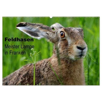 Feldhasen - Meister Lampe in Franken (Wandkalender 2027 DIN A2 quer), CALVENDO Monatskalender
