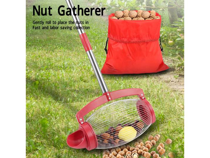 Ramasseur de noix de pécan, poignée longue réglable, ergonomique, économie de travail, léger, facile, en acier inoxydable, pour le jardin