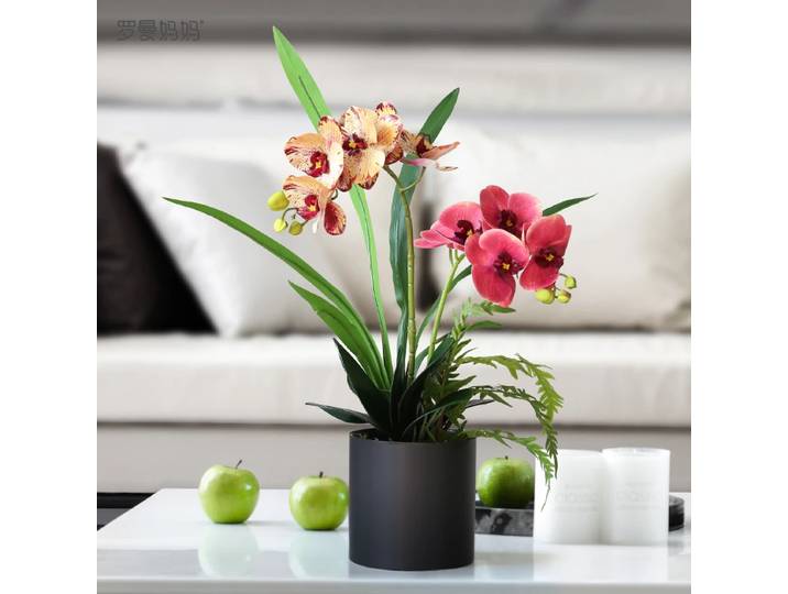 Fausse Fleur de Simulation de Phalaenopsis, Décoration de Bureau d'Nik, Décoration de Table de Gand, Kit de Mariage