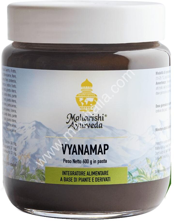 MAP ITALIA Srl VYANAMAP (MA 4301) Pasta 600g