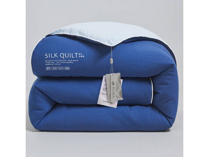 Couette en Soie de Mûrier 100% Luxe, Taille Queen et King, Régulatrice de Température, avec Housse en Coton, Toutes Saisons, Couverture de Lit