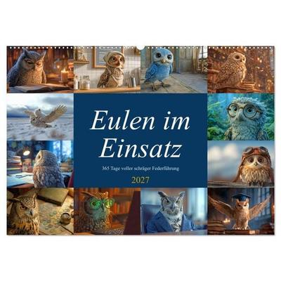 Eulen im Einsatz - 365 Tage voller schräger Federführung (Wandkalender 2027 DIN A2 quer), CALVENDO Monatskalender