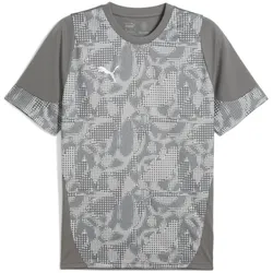PUMA teamCUP Trainingsshirt Herren 13 - flat medium gray/puma silver/flat light gray XL