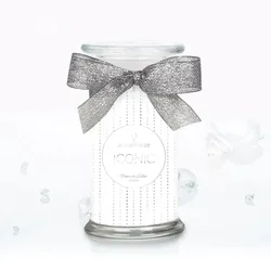 Iconic (Armband) Premium Edition 400g
