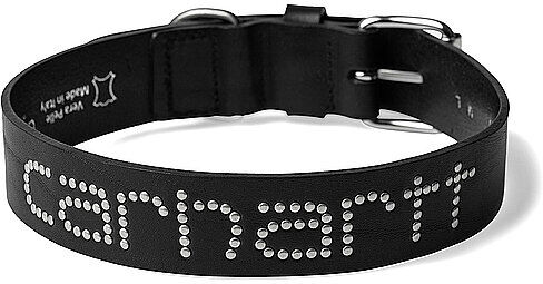 CARHARTT WIP Hundehalsband SCRIPT STUDS schwarz M