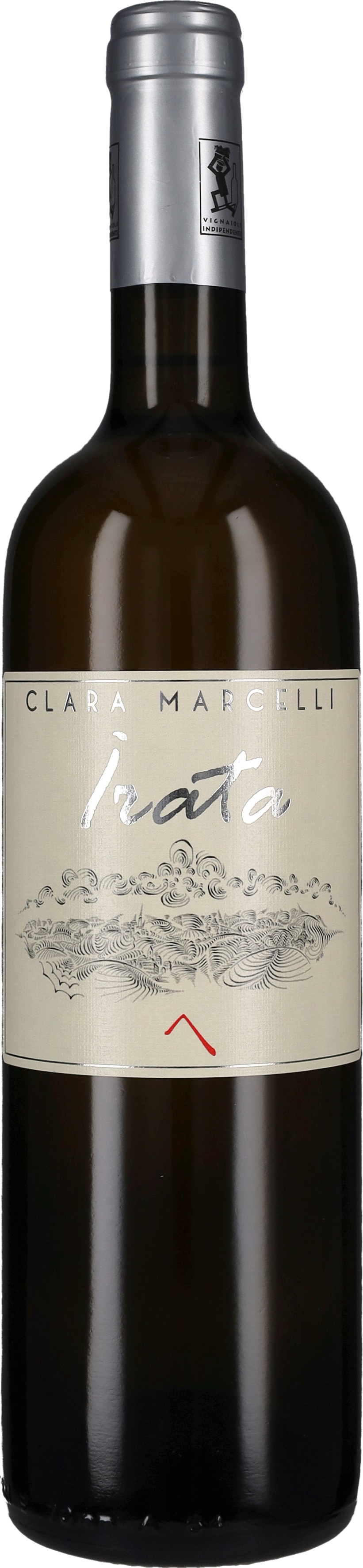 Clara Marcelli Pecorino 'Irata' 2025