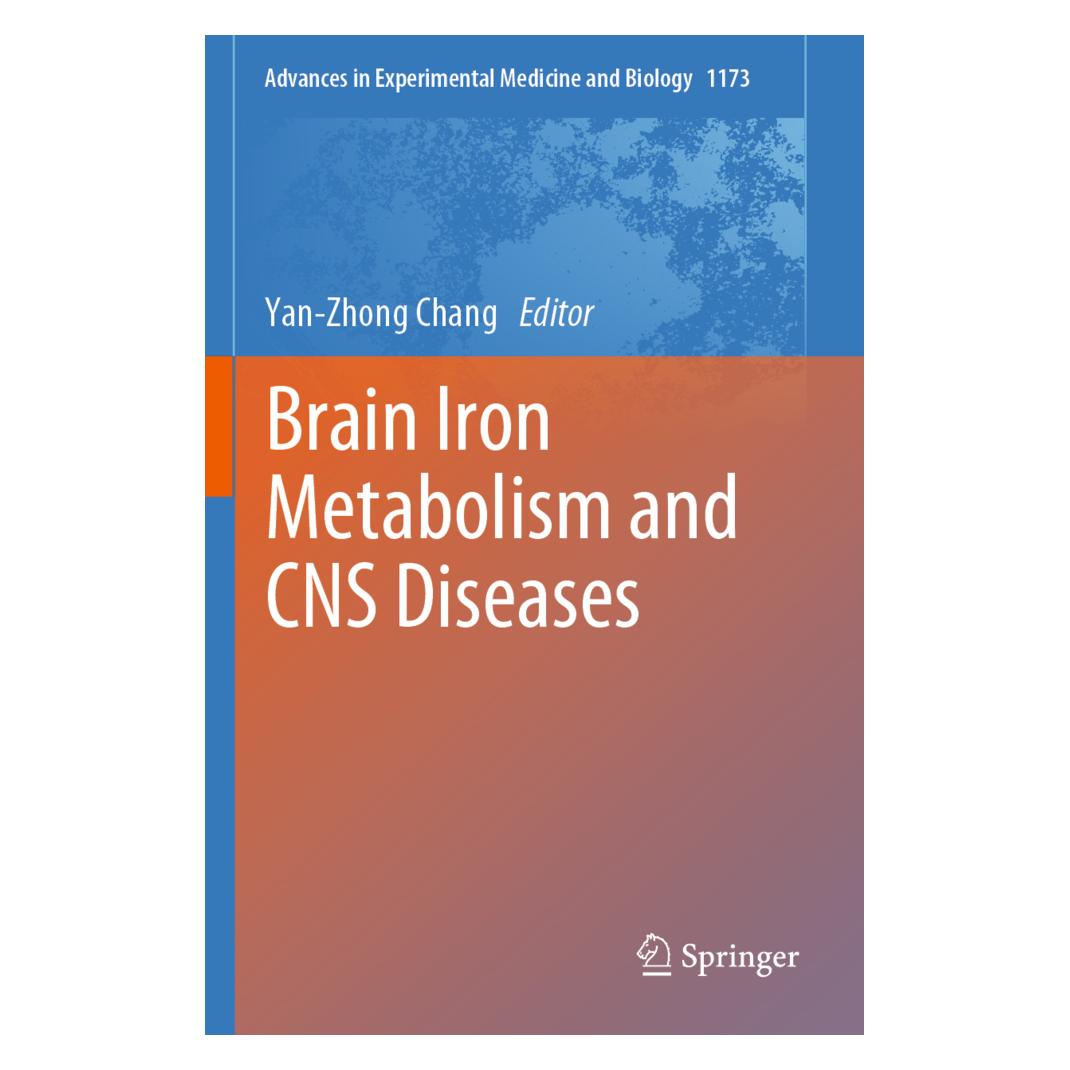 Springer Brain Iron Metabolism and CNS Diseases (Englisch, Softcover, Yan-Zhong Chang) (56157956)
