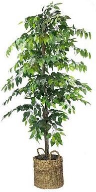 LCG Florals 6-foot Artificial Ficus Tree in Basket
