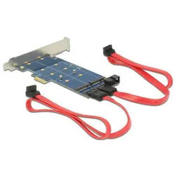 Delock PCI Express Karte, Storage Controller