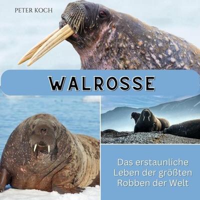 Walrosse, Taschenbuch von Peter Koch, 27amigos, 978-3-7505-6367-4