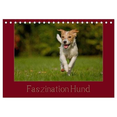 Faszination Hund (Tischkalender 2026 DIN A5 quer), CALVENDO Monatskalender
