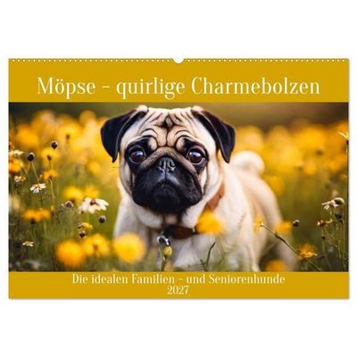Möpse - quirlige Charmebolzen (Wandkalender 2027 DIN A2 quer), CALVENDO Monatskalender