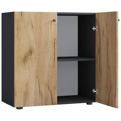 Büroschrank Bücher Ordner Aktenschrank Lona 2fach