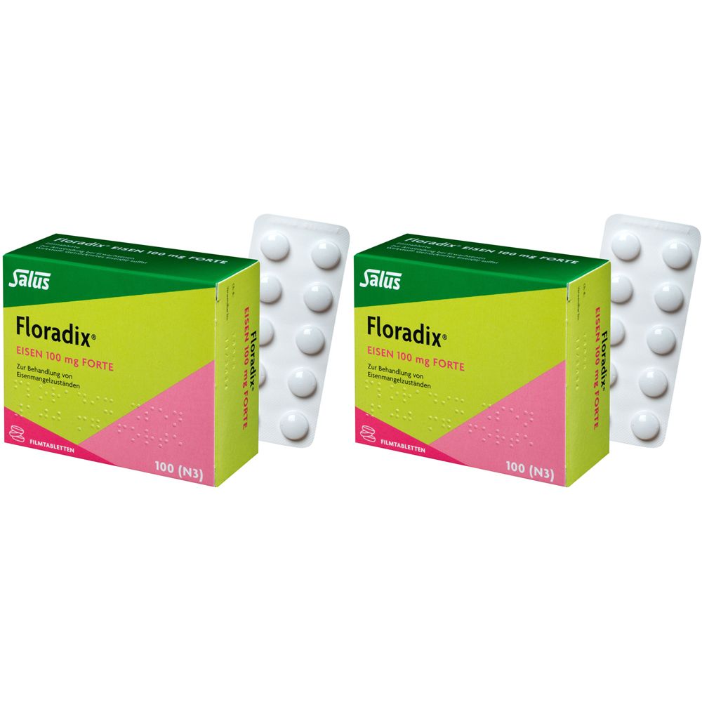 Floradix Eisen 100 mg Forte Doppelpack 2x100 St Filmtabletten