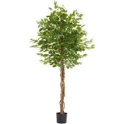 tectake Künstlicher Ficusbaum Fida, realistische Textur  Grün