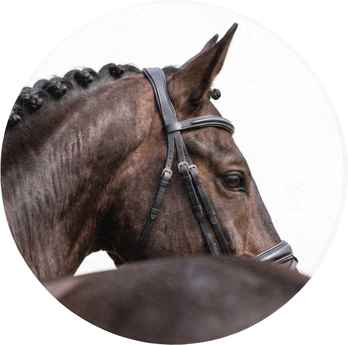 OnlyWow Ronde Badmat met Paardenportret - Antislip - 70 x 70 cm
