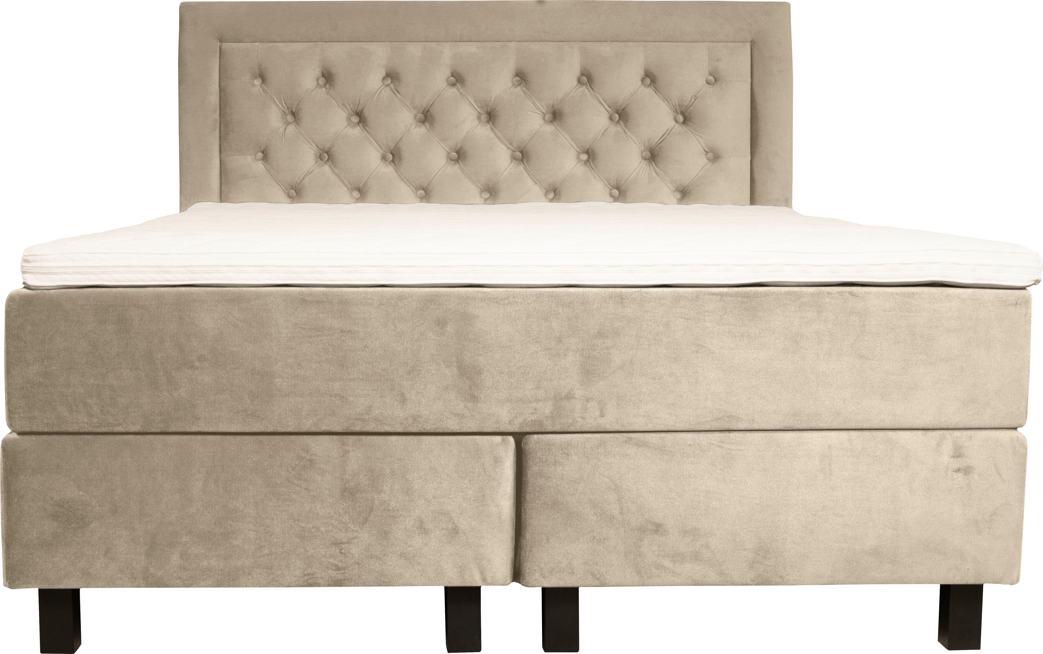Boxspringbett HOME AFFAIRE "Jeanne", beige (cream), B:141cm L:208cm, 100% Polyester, Komplettbetten, Boxspringbett, inkl. Topper mit Taschen-Federkernmatratze cream Samtvelours, Liegefläche B/L: 140cm x 200cm, H2 + H2, Taschen-Federkernmatratze