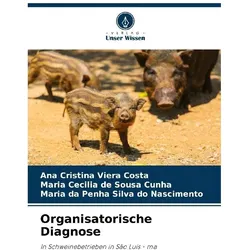 Organisatorische Diagnose, Fachbücher von Maria da Penha Silva do Nascimento, Ana Cristina Viera Costa, Maria Cecilia de Sousa Cunha