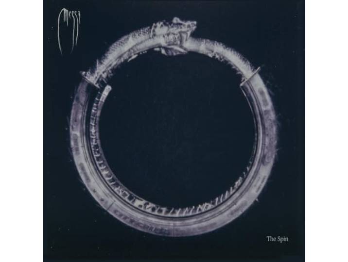 The Spin