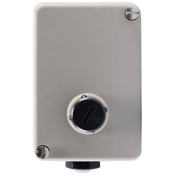 Jumo 60002099 2-Punkt-Regler Temperaturbegrenzer -20 bis 575 °C