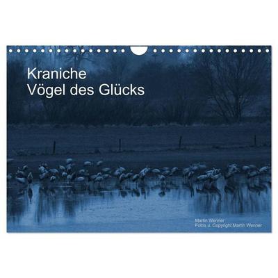 Kraniche (Wandkalender 2027 DIN A4 quer), CALVENDO Monatskalender