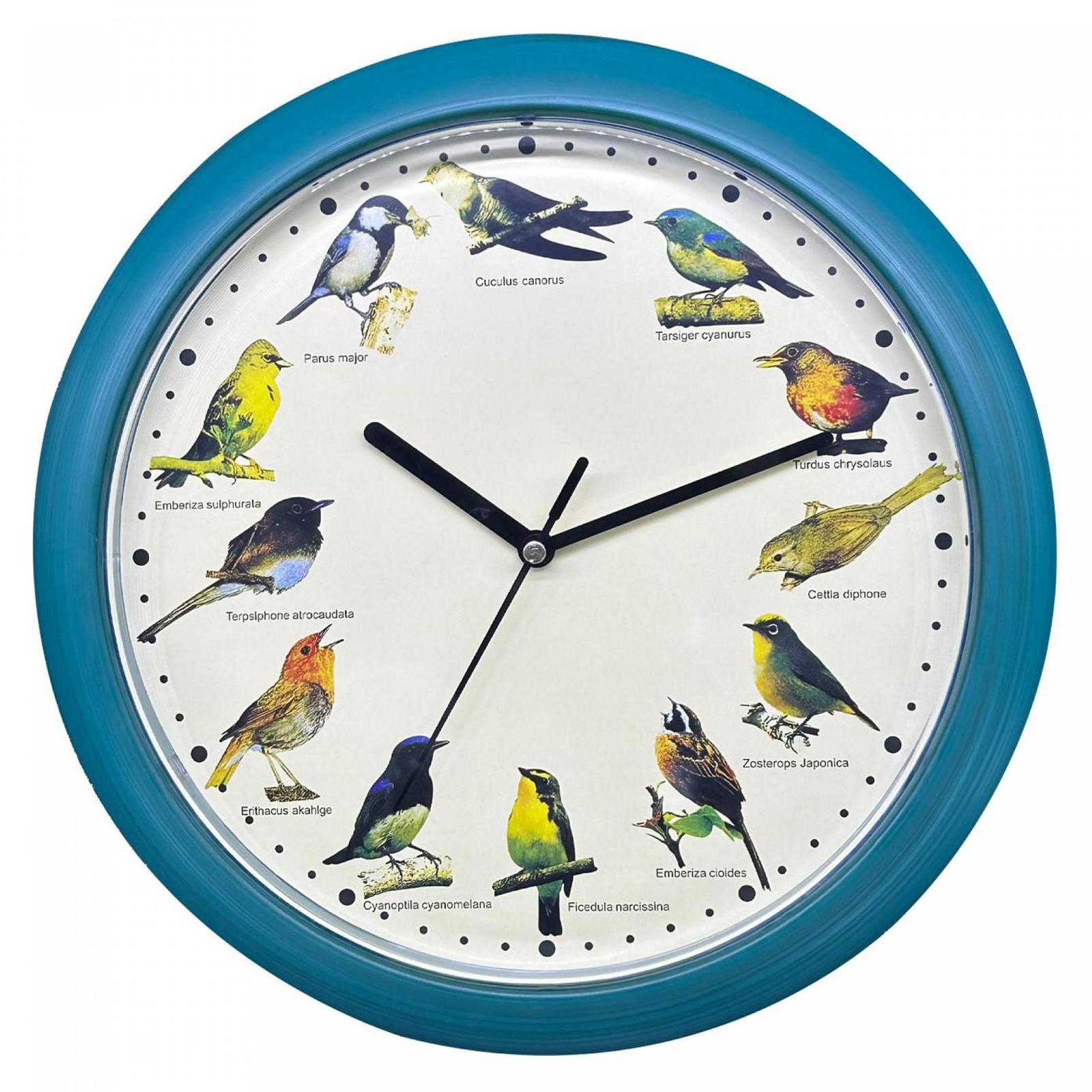 Herzberg Home & Living Herzberg Hg-03718 Japanse vogelklok - Groen
