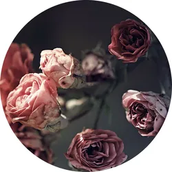 Glasbild BEAUTIFUL ROSES (BHT 20x20x1,20 cm) - bunt - BHT 20x20x1,20 cm