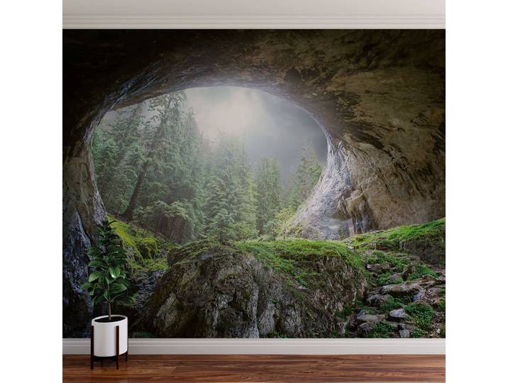 Papier peint Grotte dans la forêt 3 x 2cm