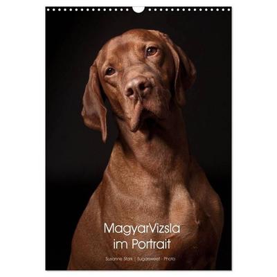 Magyar Vizsla im Portrait (Wandkalender 2027 DIN A3 hoch), CALVENDO Monatskalender