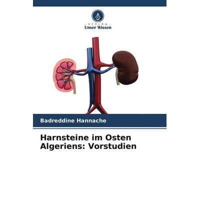 Harnsteine im Osten Algeriens: Vorstudien, Taschenbuch von Badreddine Hannache, Verlag Unser Wissen, 978-620-9-58658-3
