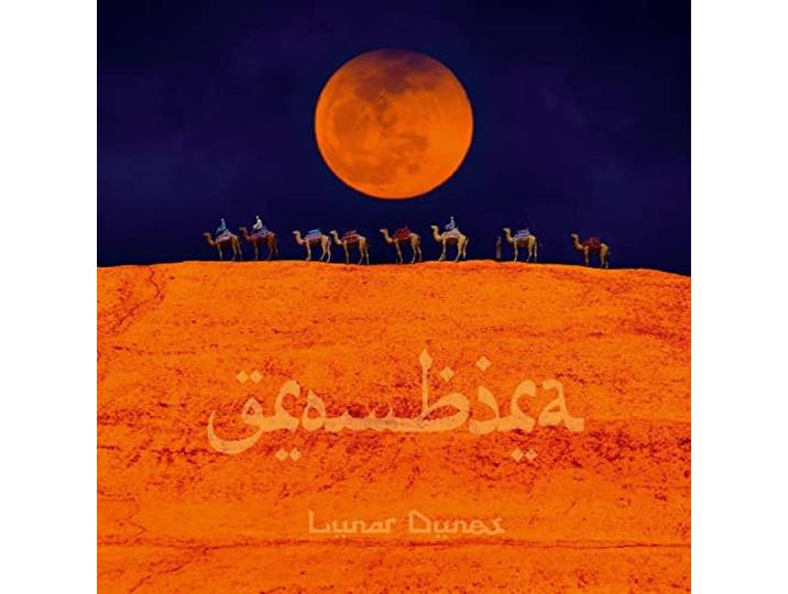 Lunar Dunes