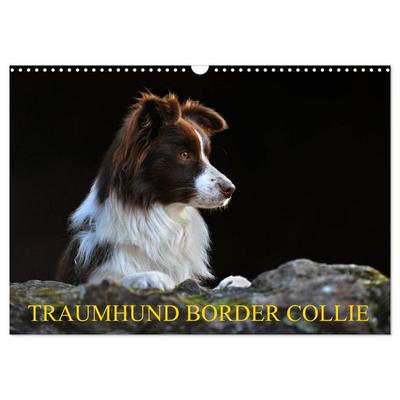 Traumhund Border Collie (Wandkalender 2027 DIN A3 quer), CALVENDO Monatskalender