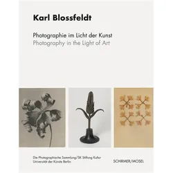 Blossfeldt:Photographie im Licht der Ku, Fachbücher von Karl Blossfeldt