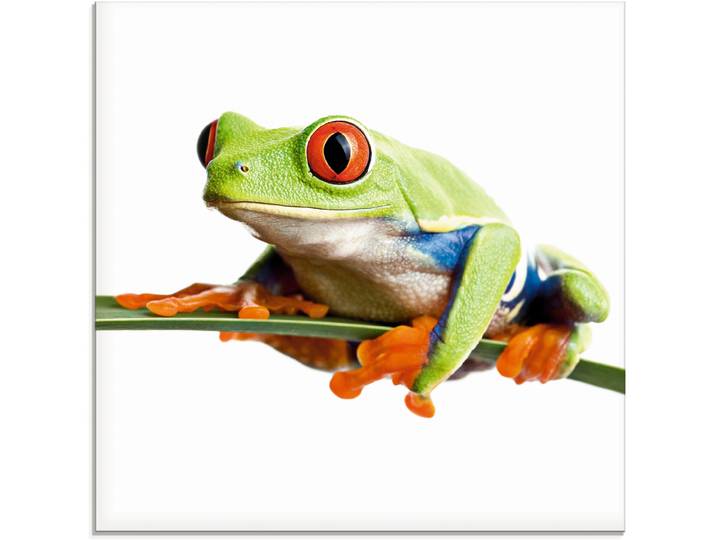 Glasbild ARTLAND Frosch auf einem Blatt , weiss (farbe bild(er): weiß), B:20cm H:20cm, Bilder, Glasbild, in verschiedenen Grössen