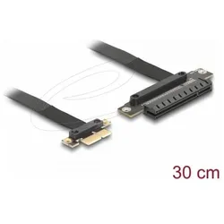 Delock Riser Karte PCI Express 3.0 x1 Stecker zu x8 Slot mit, Mainboard Zubehör