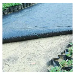 GCS, Pflanzen Winterschutz + Gartenvlies, GREENMILL AGRONONWOVEN 1.0 x10m 100g/m2 BLACK